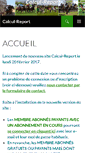 Mobile Screenshot of calcul-report.fr